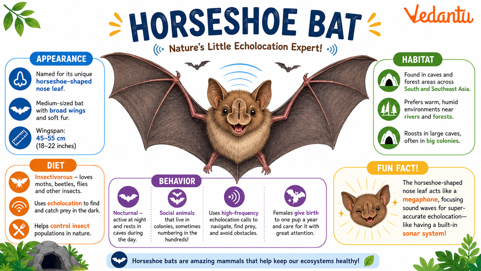 Horseshoe Bat