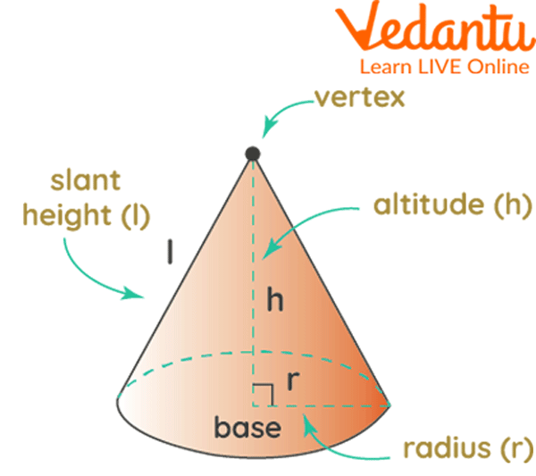 Parts of a Cone