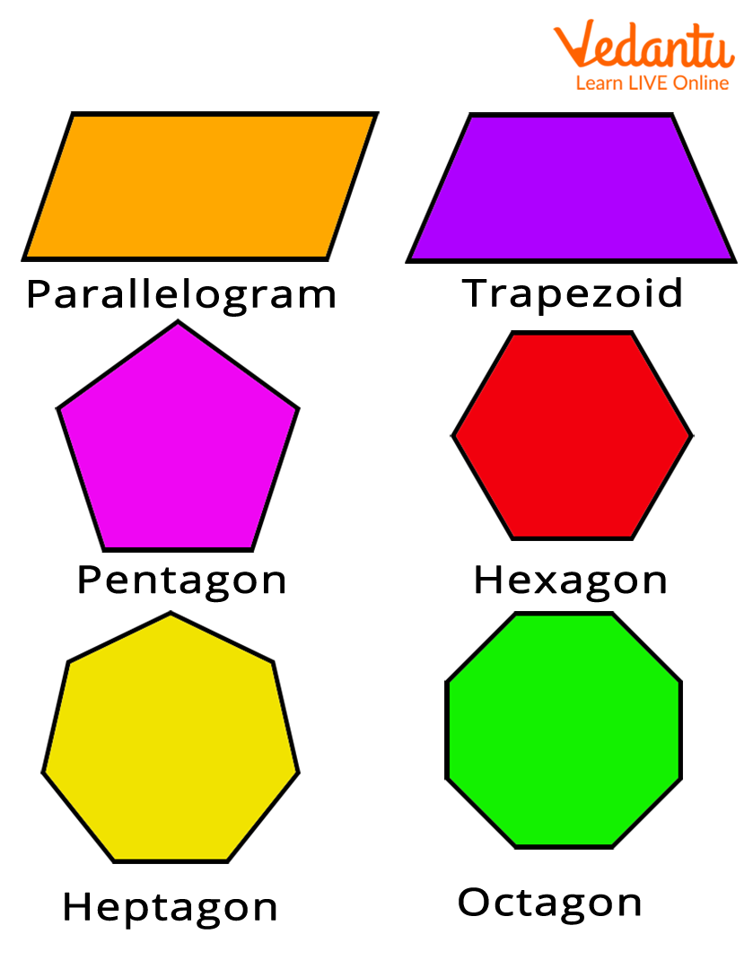 Coloured Polygon