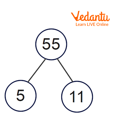 Factor Tree of 55