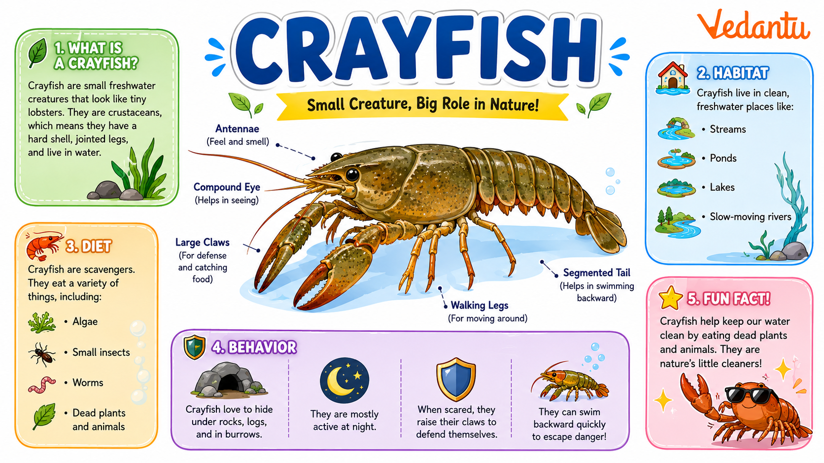 Crayfish
