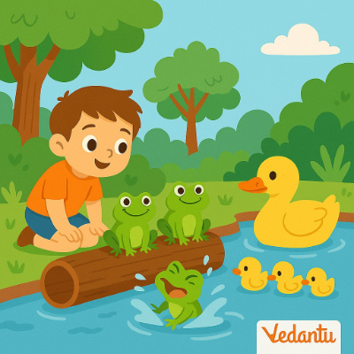 Story 3: A Day at the Pond