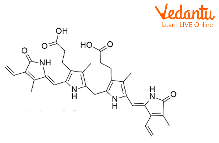 Bilirubin Structure