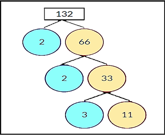Factor tree of 132