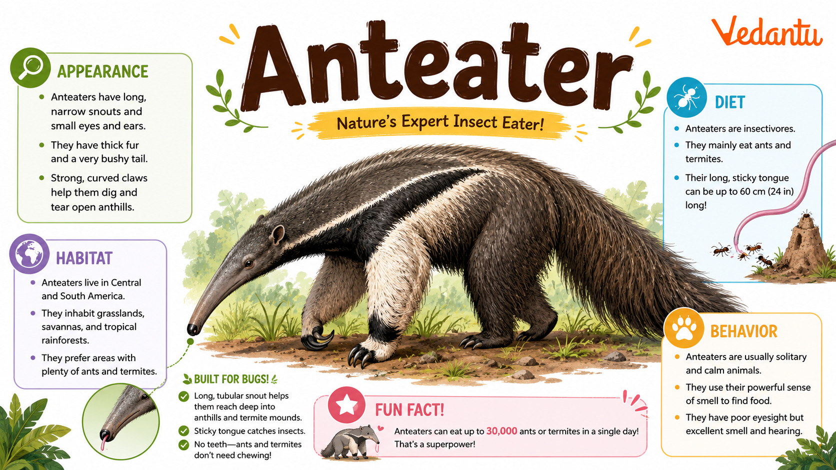 Anteater animal with long snout and bushy tail