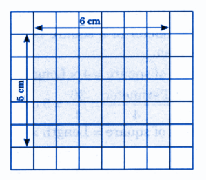 (e) Length = 6 cm, Breadth = 5 cm