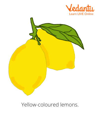 Yellow-coloured Lemons