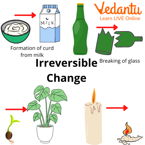 Reversible Changes And Irreversible Changes Learn Important Terms And