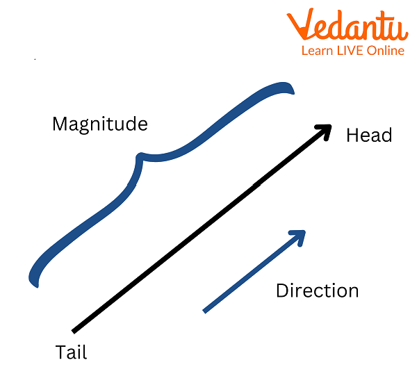 Vector diagram