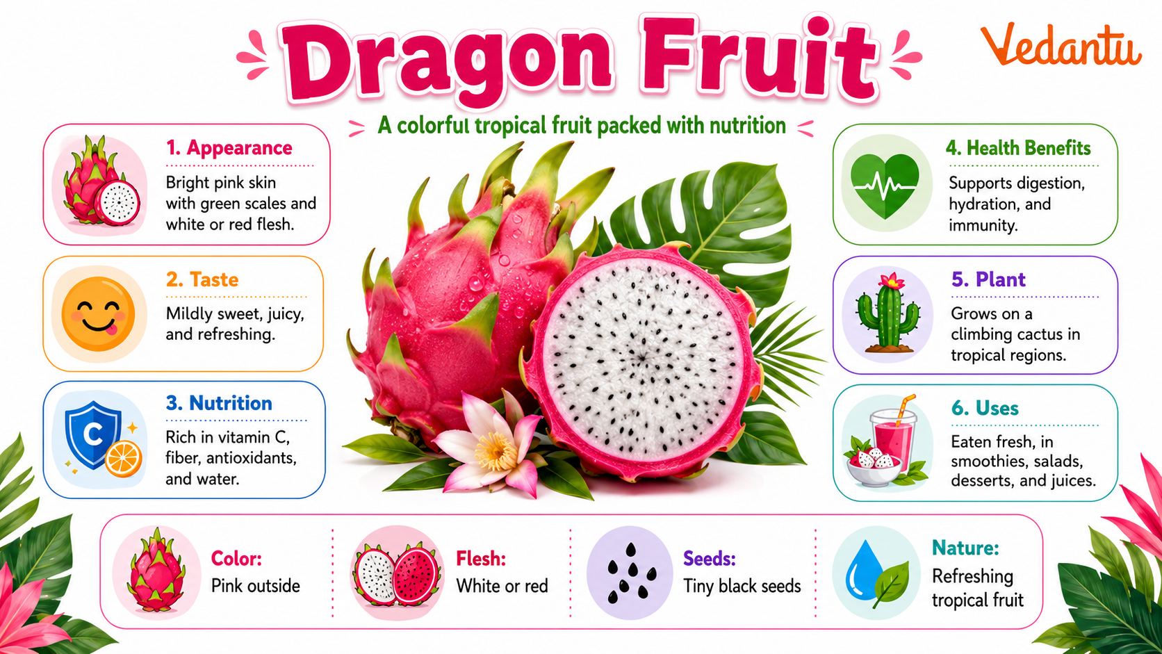 Dragon Fruit