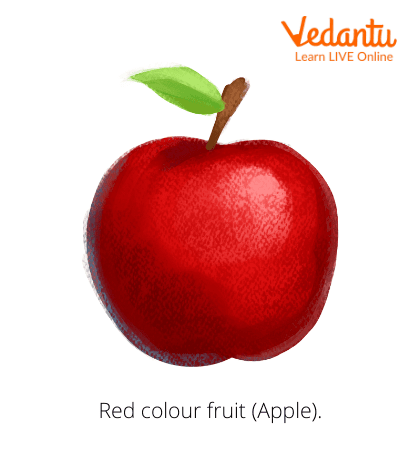 Red colour fruit (Apple)