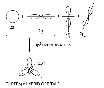 sp2 Hybridization