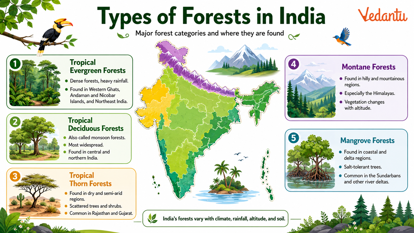 Types of Forests in India
