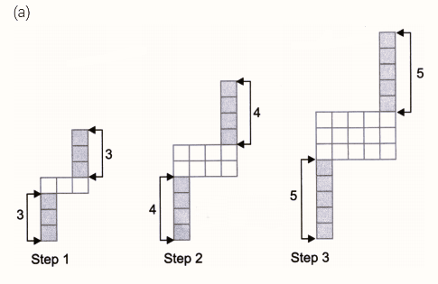 (i) Draw the next figure in the sequence.  (ii) How many basic units are there in Step 10?  (iii) Write an expression to describe the number of basic units in Step y.