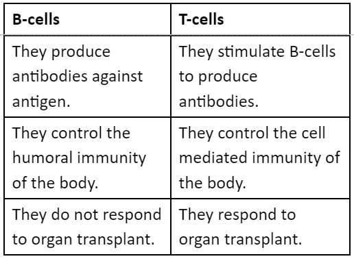B-cells and T-cells