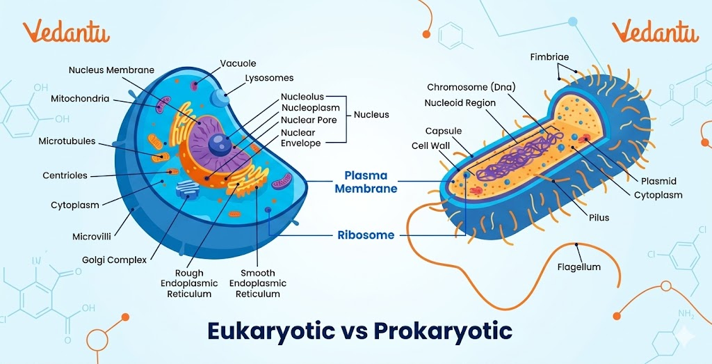 Cell: prokaryotic and eukaryotic