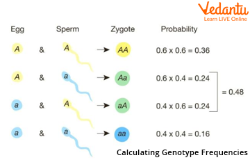 Genotypes Frequencies