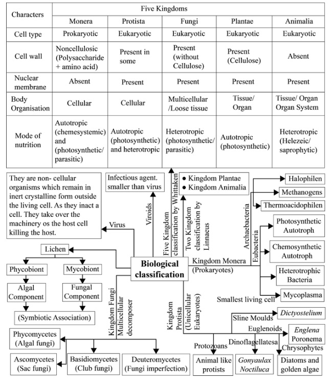 Ncert Solutions For Class 11 Biology Chapter 2 Biological Classification