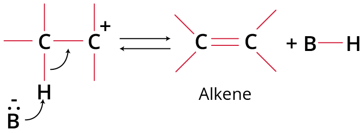 Protonation of Base to form alkene