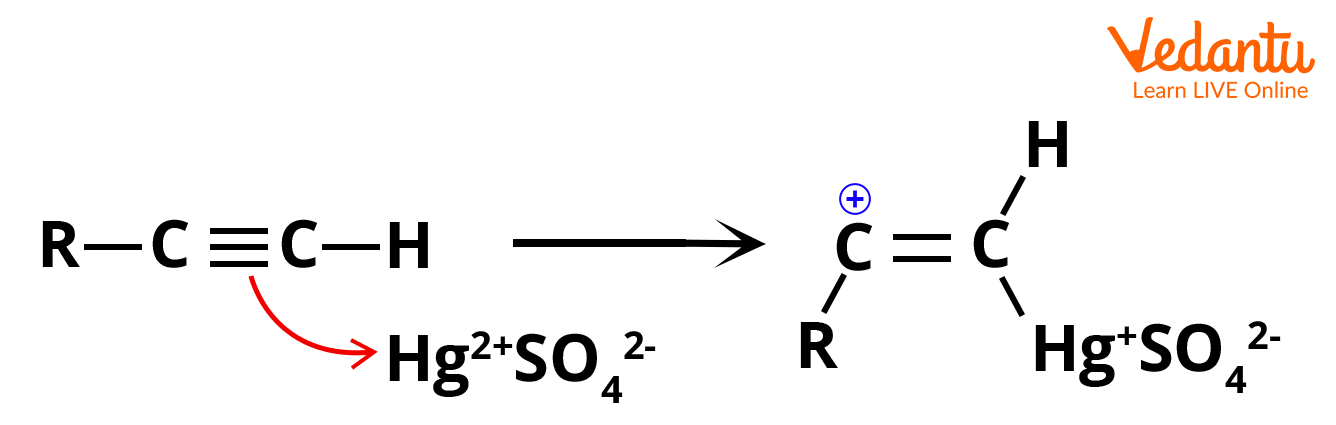 Electrophilic Addition of Hg2+