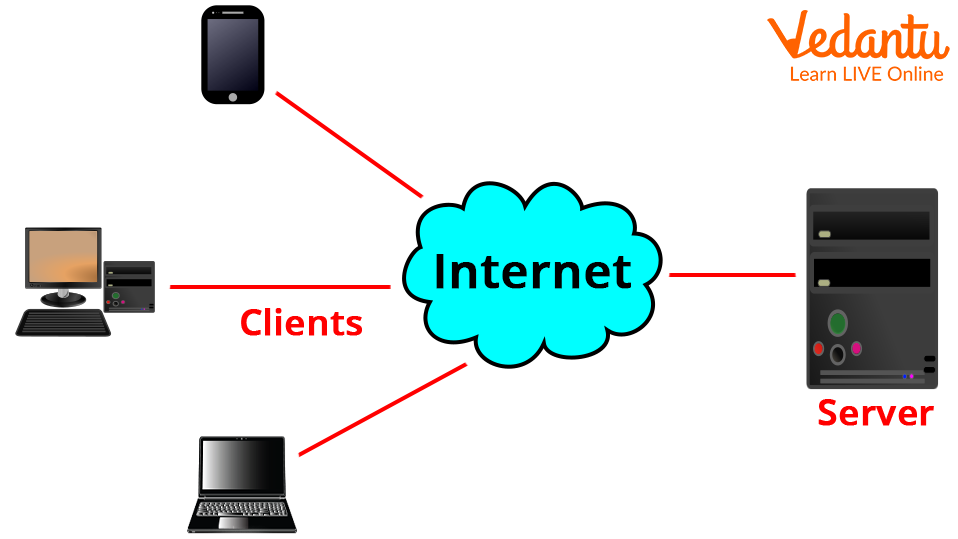 Client/Server Network
