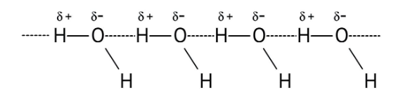 Hydrogen Bonding