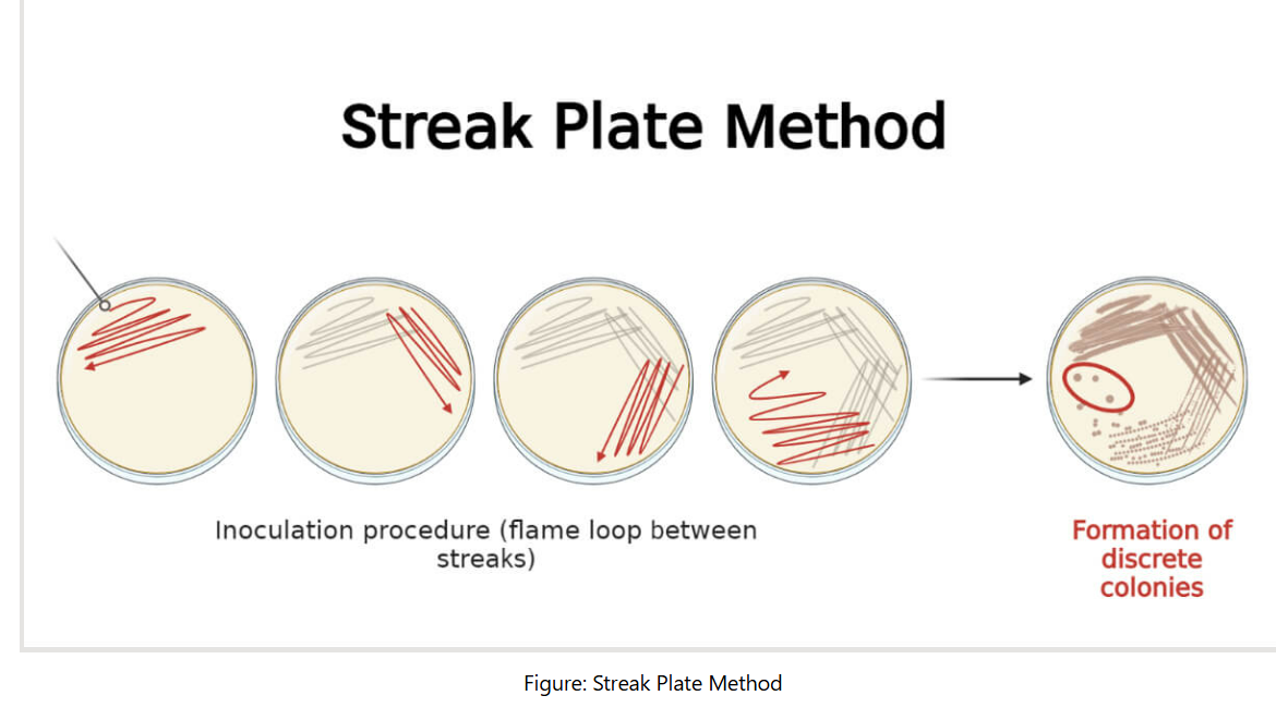 streak plate Method