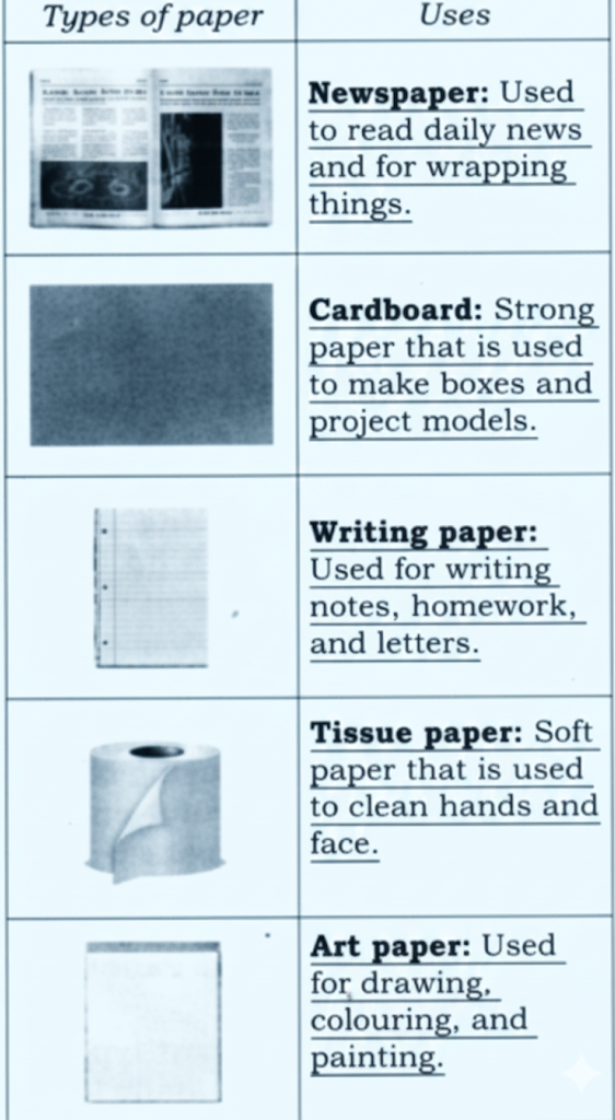 Observe the different types of paper that we use in our daily life, such as writing paper, newspaper, art paper, cardboard and tissue paper