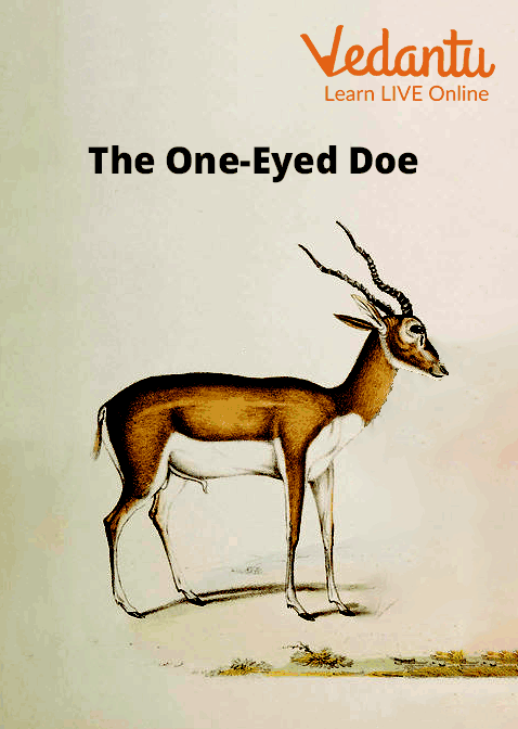 The One-eyed Doe