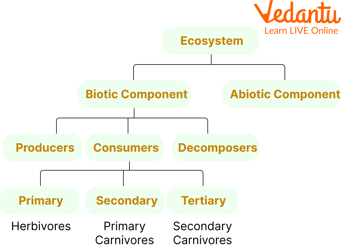 Structure of Ecosystem