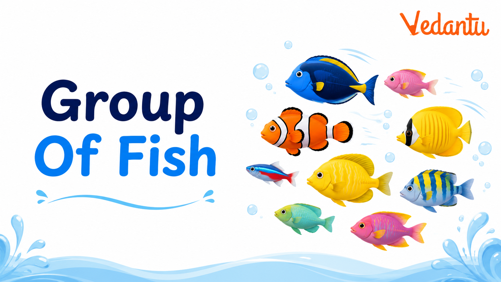 Group of Fish swimming together in water