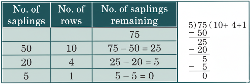 Rakul Chachi uses a part other farm to grow flowering plants for the upcoming festive season. She has planted 75 saplings of roses. Each row has 5 saplings. How many rows of saplings has she planted.