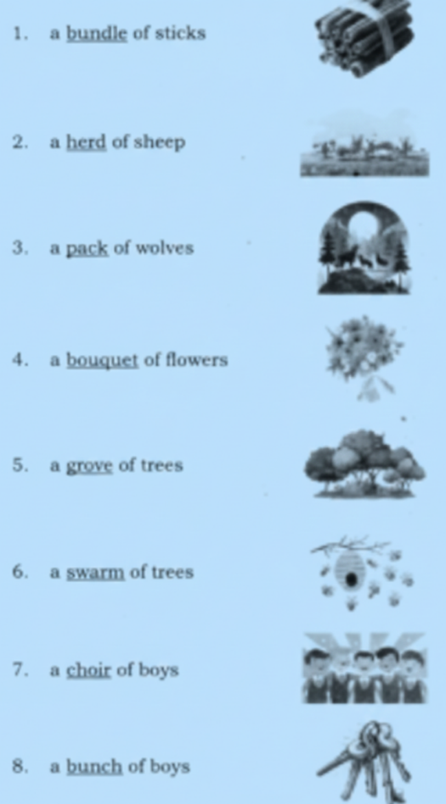 Look at the pictures and fill in the blanks, by using words from the box. answer