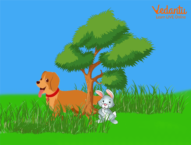 Story of Rabbit and the Dog | Interesting Stories for Kids