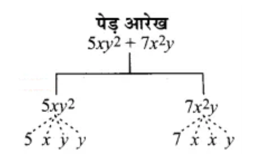 (5xy2+7x2y) के गुणनखंडों का पेड़ आरेख