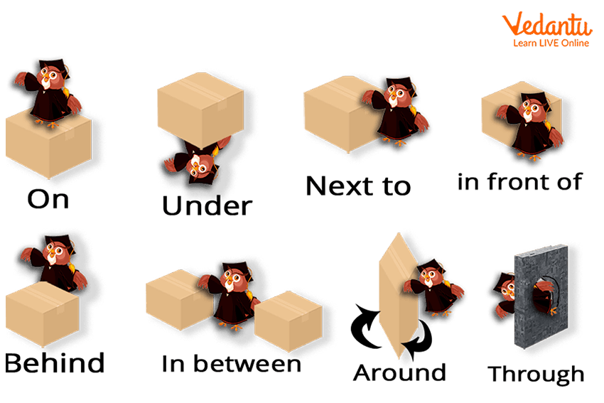 On, Under, and Next To- Prepositions in English Free Activities