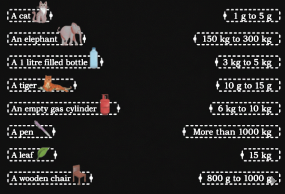 Match the objects in the left column with their estimated weights in the right column.