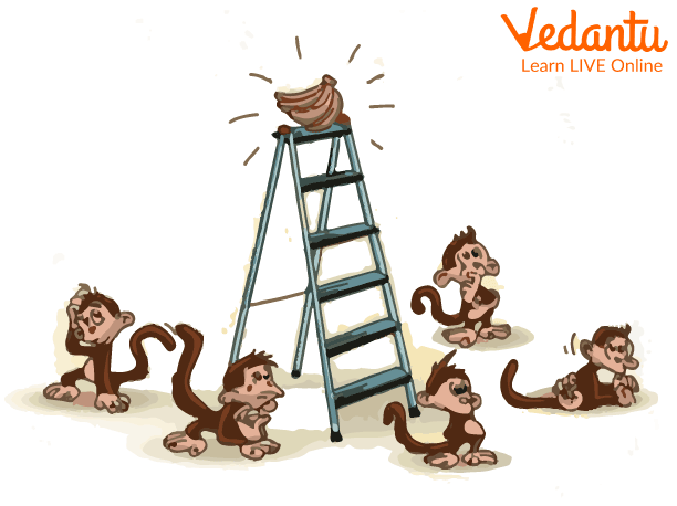 The New Monkeys Do Not Climb the Ladder
