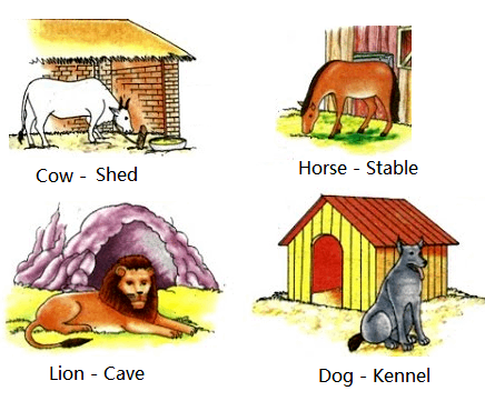 Shelter of animals living on land