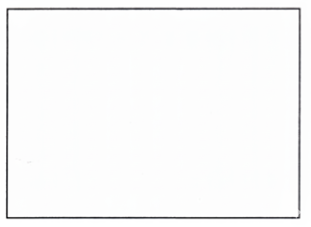 Hands-on activity —food collage