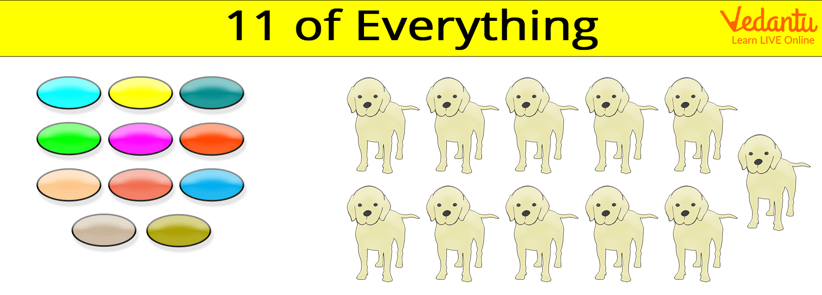 Examples of Eleven: 11 candies and 11 dogs