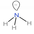 Ammonia-Hydrides of Nitrogen