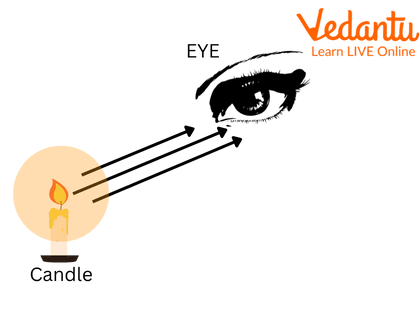 An Object Emitting Light Rays which are Detected by Our Eyes.