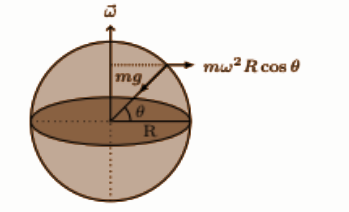 Effect of earth rotation on apparent weight