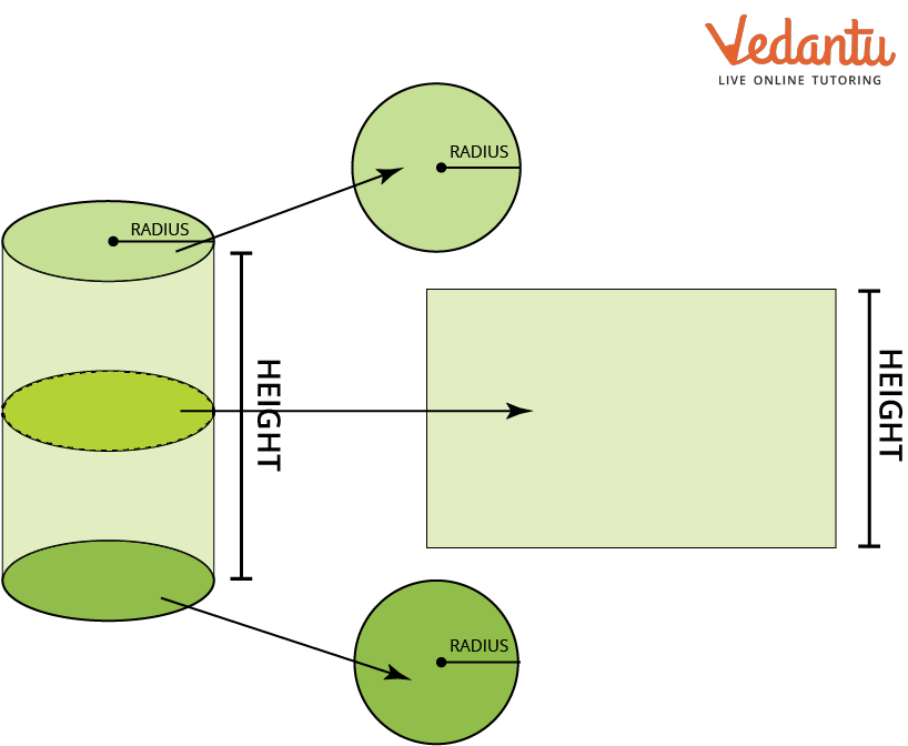 Right Circular Cylinder