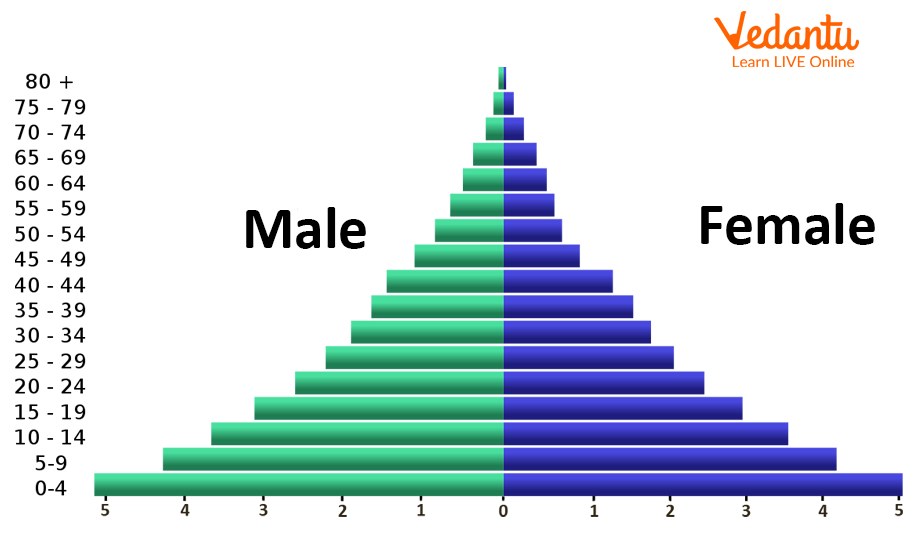 Structure of Population Pyramid