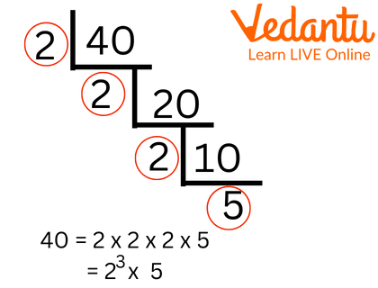 Prime Factorization of 40.