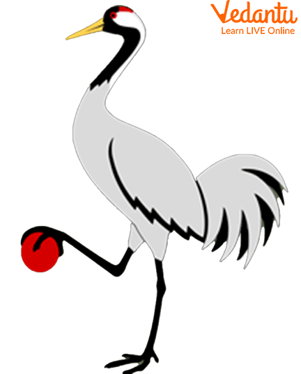 Cartoon Crane for Children