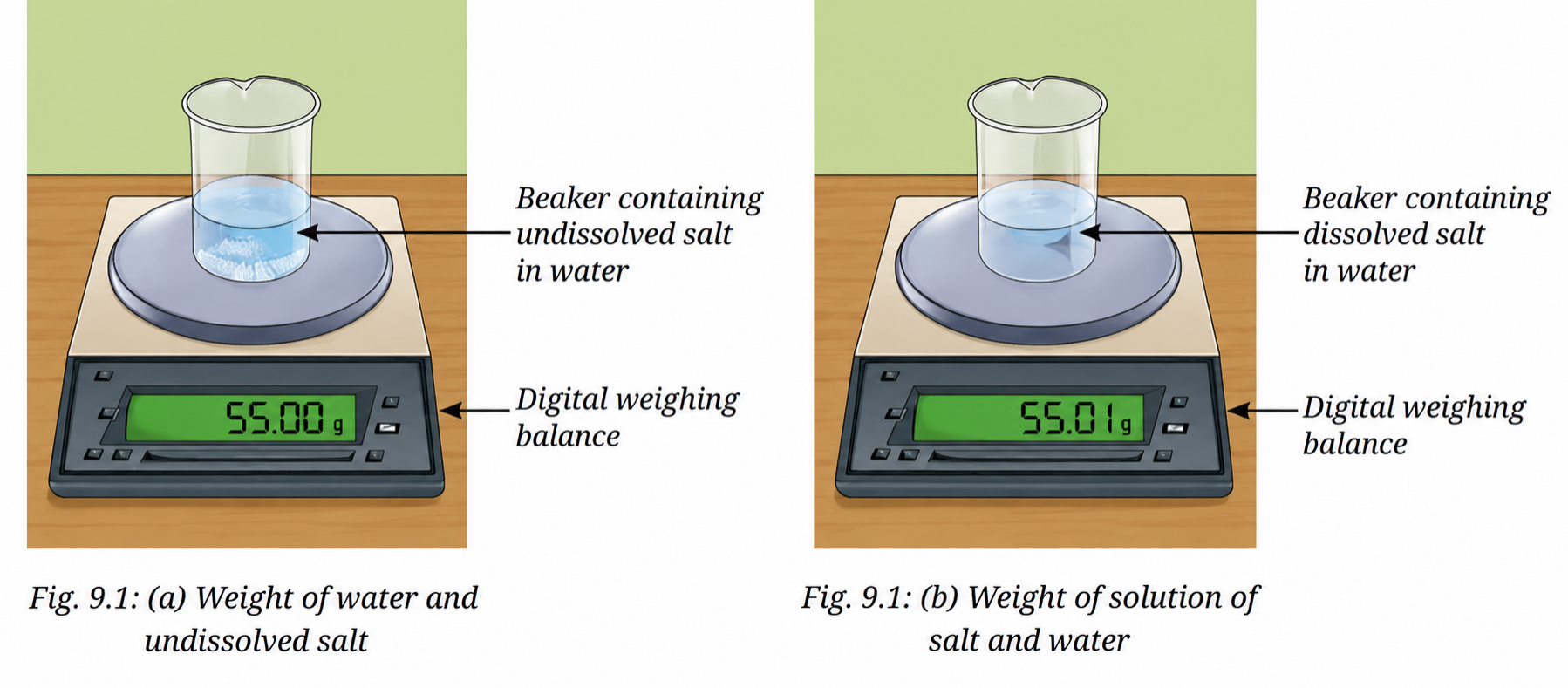 To verify that mass is conserved during a physical change (dissolving salt in water)..png
