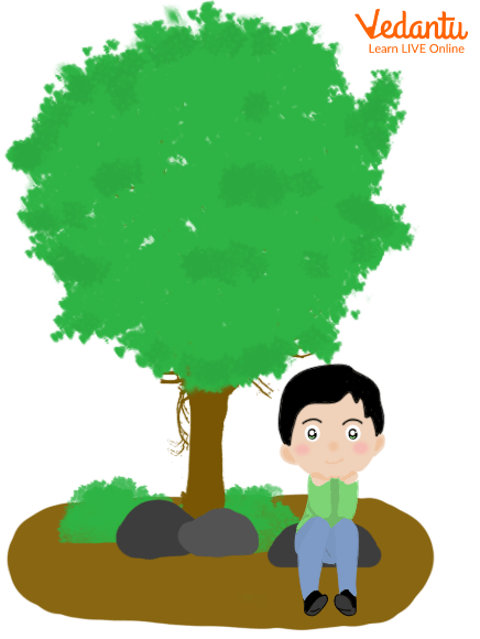 Kid Sitting in Shade of a Tree